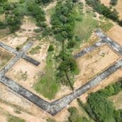 Best Plot Selling Brand